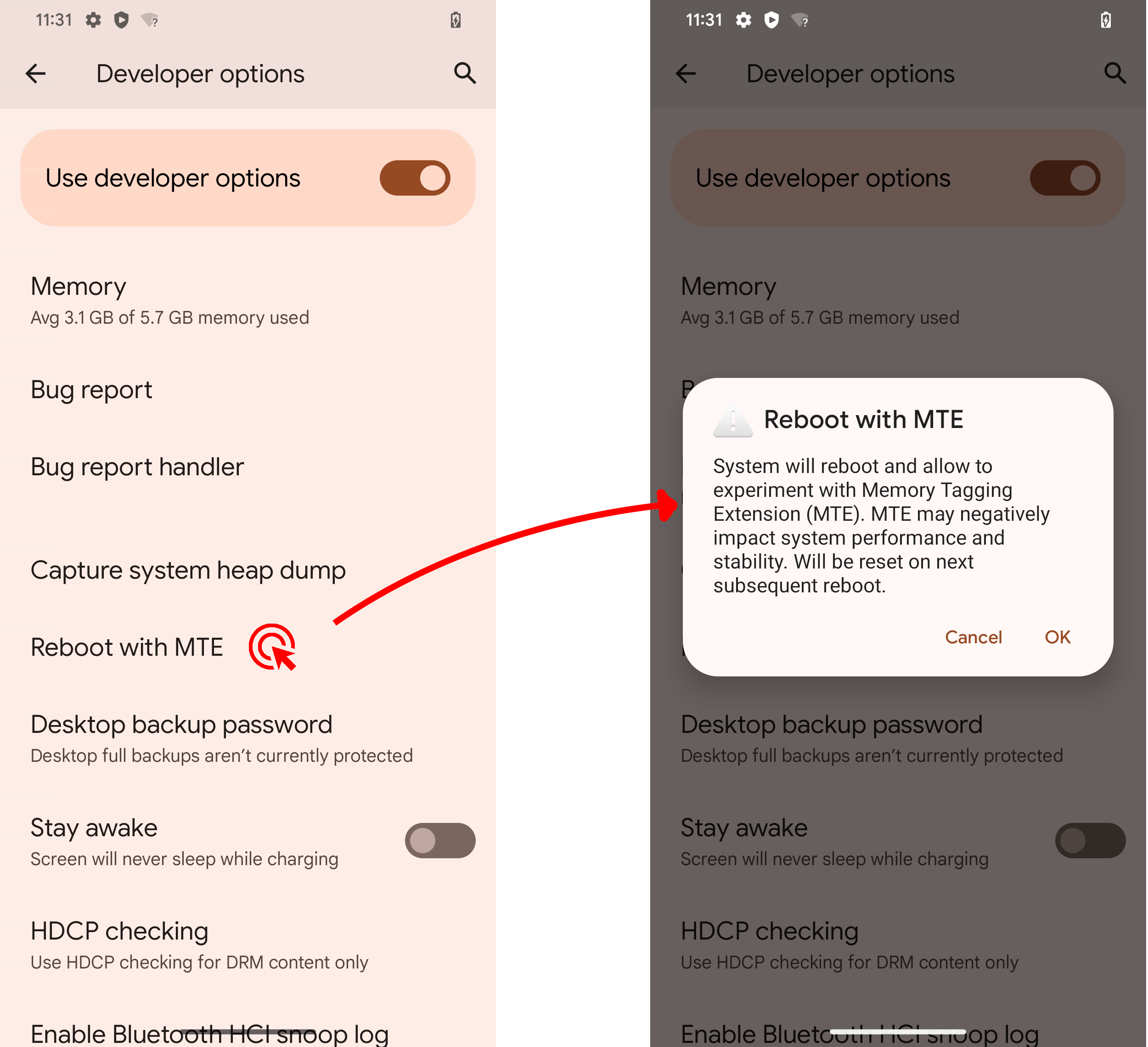 Screenshot der Entwickleroption für MTE