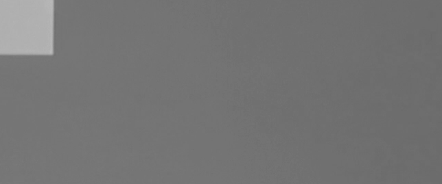 test_multi_camera_switch_gray_uw_y