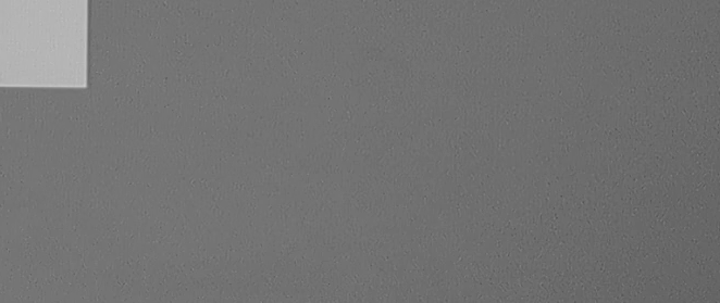 test_multi_camera_switch_gray_w_y
