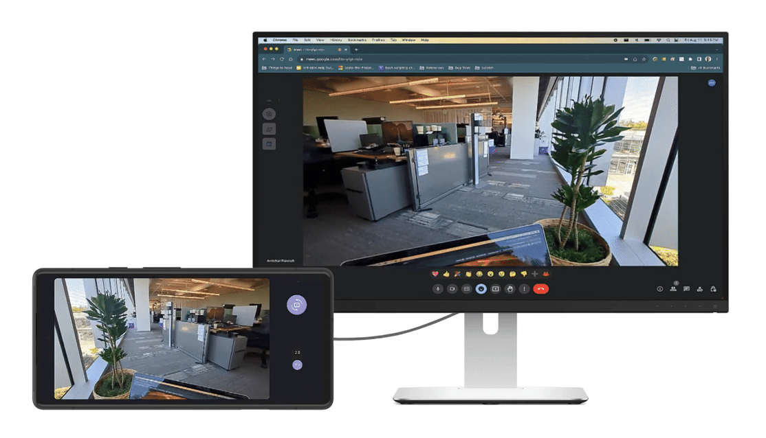 feed della webcam trasmesso in streaming all'host