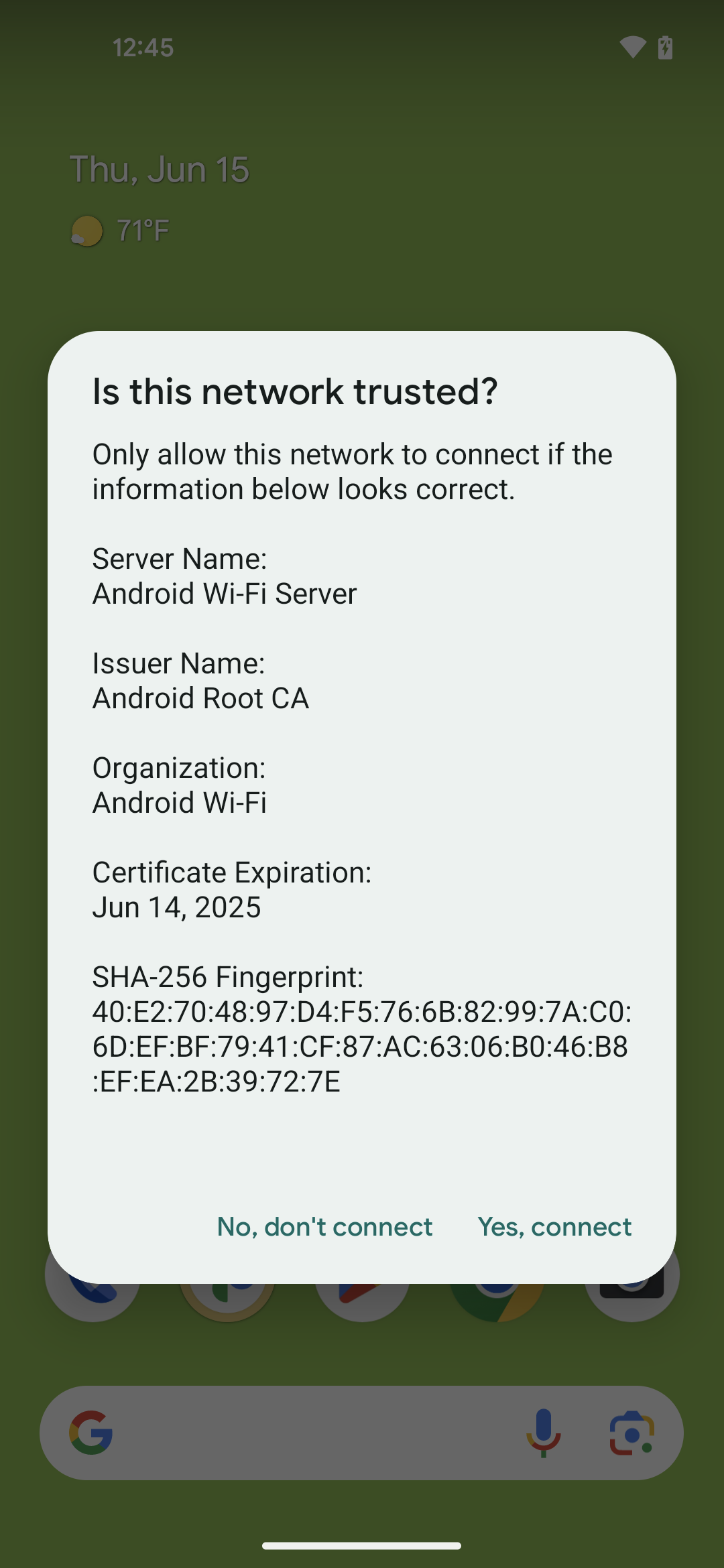 Android system dialog asking to trust a network, with the text 'Trust this network?' and options 'No, don't connect' and 'Yes, connect'